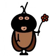 西红柿炖yp