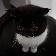 PpPpPpPpPpPpPpPpPpPpPpe2