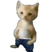 ii_o