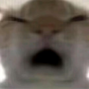 _xi_xi_