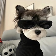 cha1nsQ