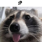 997777777777777777777777