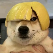 我勒个豆0-8-0