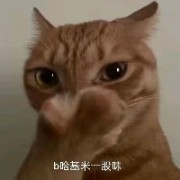 耄耋哈压库