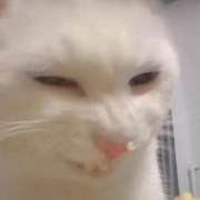 我菜我不难受吗v