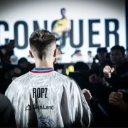 突破手狼王小灰灰