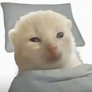原神大师请战