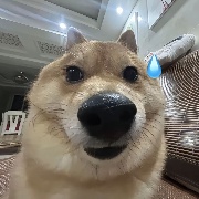 外格夫起内格夫