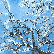 她是人间不染霜