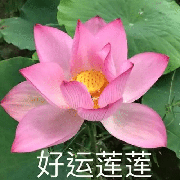 Ls36888