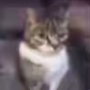 耐克jjb