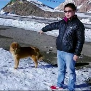 济南吴e犯