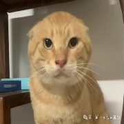 流水方长