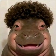 梁静茹交过熊大