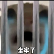 --下等马分界线a--