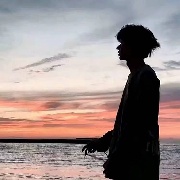 路旁有棵歪脖子树