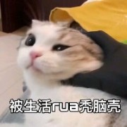 你在此地不要走动