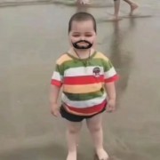 高木高