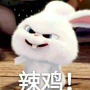 雪狼破军