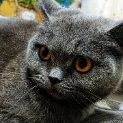 肆雨长眠