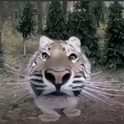 18岁爱睡觉男大