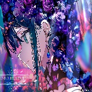 苏歌471