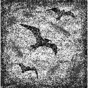 XC23333