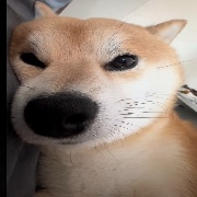 copperfieldᅟᅠ 
