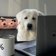 月亮为何冷冰冰