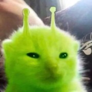 狡猾的哈基米