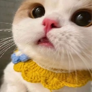 AAA建材批发老赵丶