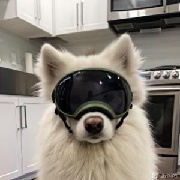太平间乘凉