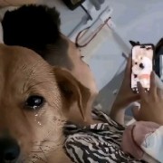 两年没得吃