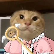 哈基米爱南北绿豆