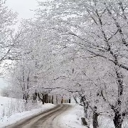 璃雪落扉