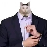 一-下等马分界-一