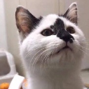 FunnySouI