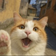 风间彻⁣⁠⁠⁠⁠