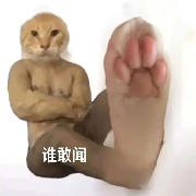 她把毕业照给我看