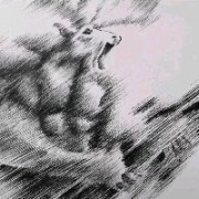 用户0322jnB8PbXH