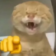 偏难怪FIVEBRO