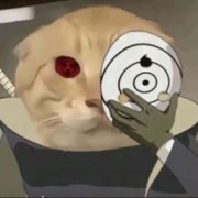 60447355
