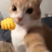 格子神