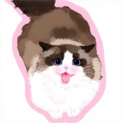 小胡小胡天天炸胡