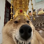 下岗工人就业