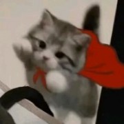明明就很喜欢牵手