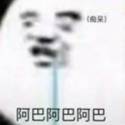 琦脑闹