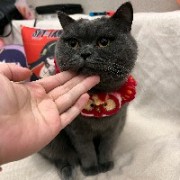 泥萌壕
