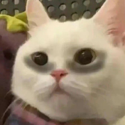 ZUTOMAYO_ACAnee
