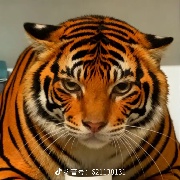 宋亚轩丁程鑫